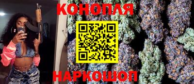 крисы Лесосибирск