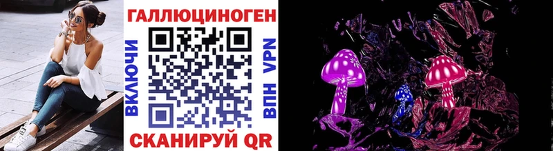 закладка  Чебаркуль  Галлюциногенные грибы MAGIC MUSHROOMS 