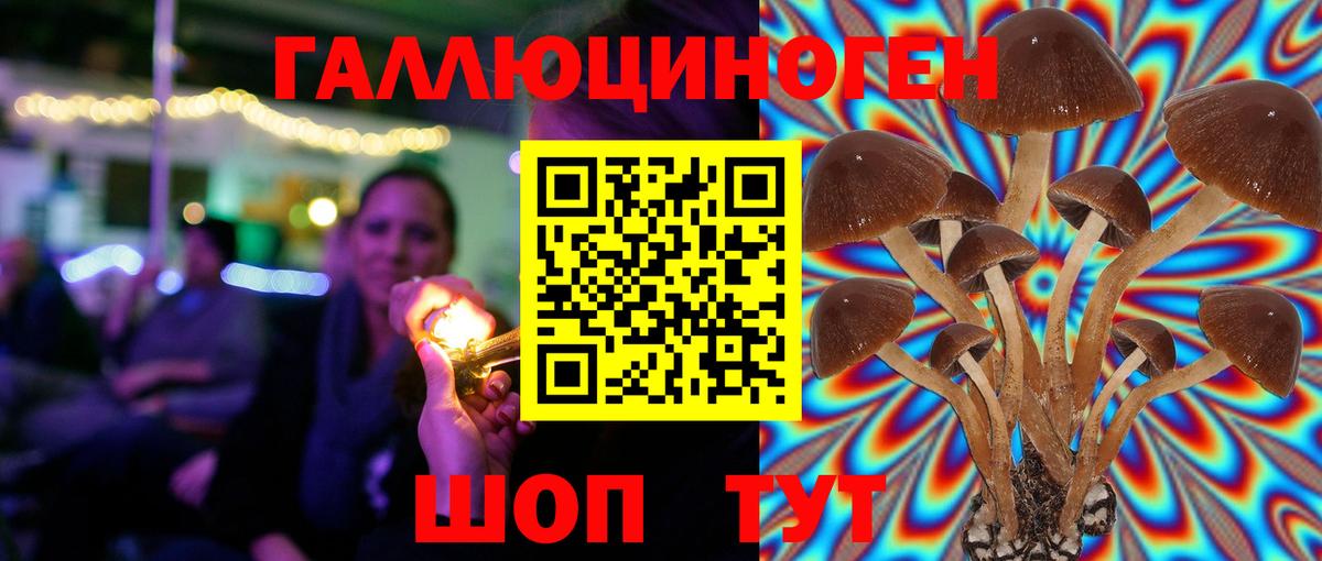 Чебаркуль  где продают   Псилоцибиновые грибы Psilocybe  Вход с VPN  Псилоцибиновые грибы Magic Shrooms 