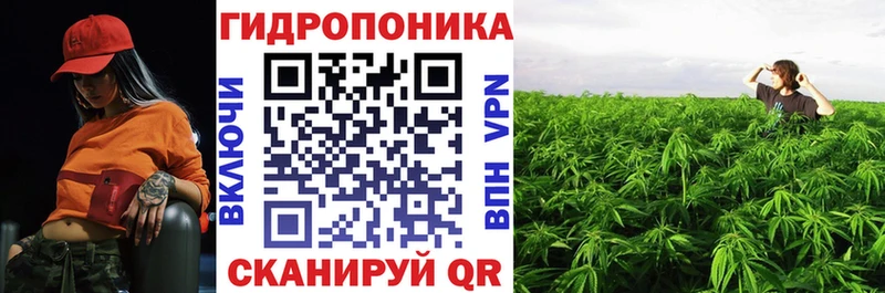 Конопля марихуана  Чебаркуль 
